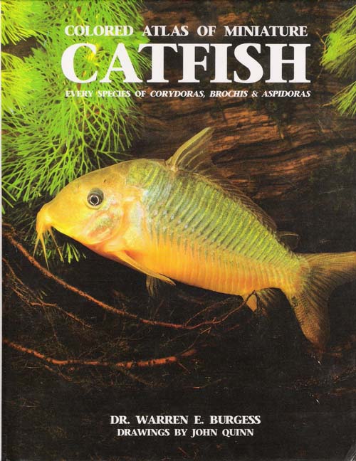 CatFish.jpg