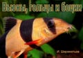 Loaches