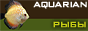 Aquarian.Spb - Аквариумные рыбы, аквариумные растения