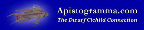 http://apistogramma.com/cms/