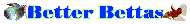 http://www.betterbettas.com/