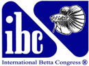 http://www.ibcbettas.com/
