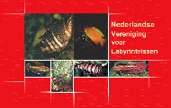 http://iglnl.netfirms.com/