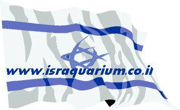 www.israquarium.co.il