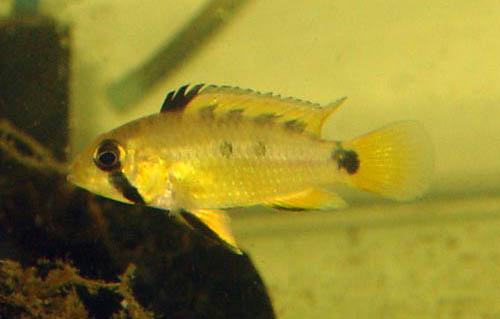 www.israquarium.co.il