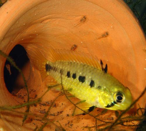 www.israquarium.co.il