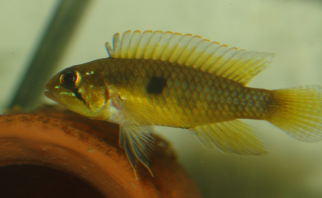 www.israquarium.co.il