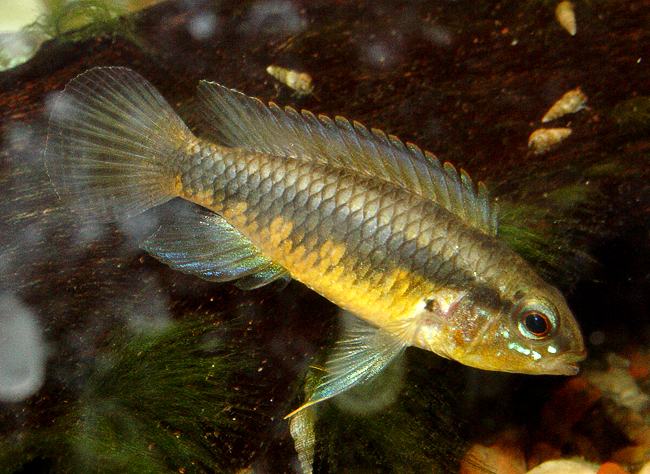 www.israquarium.co.il