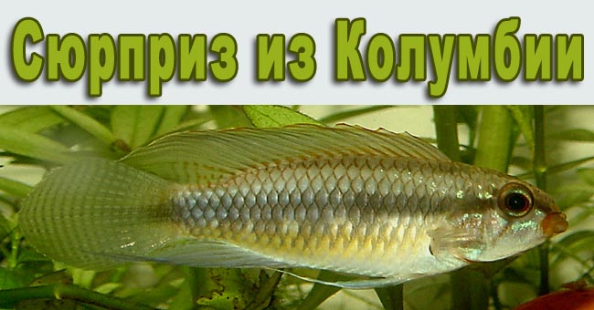 www.israquarium.co.il