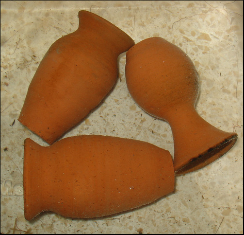 www.israquarium.co.il