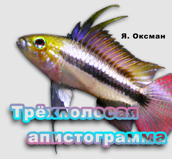 www.israquarium.co.il