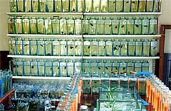 www.israquarium.co.il