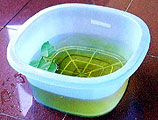 www.israquarium.co.il