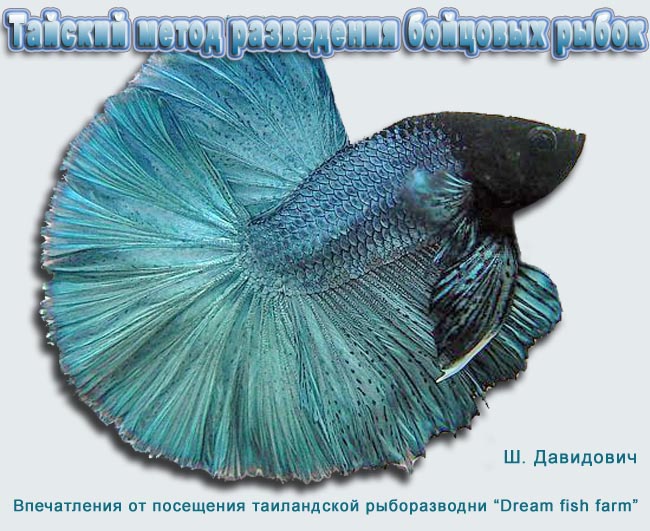 www.israquarium.co.il