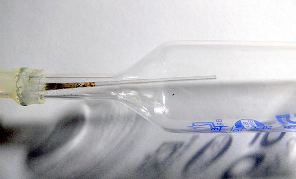 www.israquarium.co.il