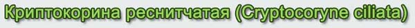 www.israquarium.co.il