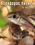 Corydoras pygmaeus