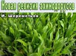 Echinodorus revision