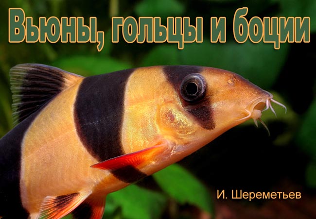 www.israquarium.co.il