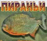 Fish size