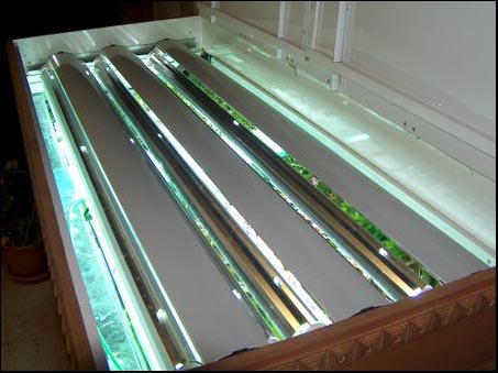 www.israquarium.co.il