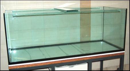 www.israquarium.co.il