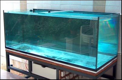 www.israquarium.co.il