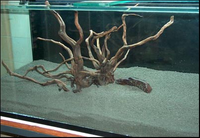 www.israquarium.co.il