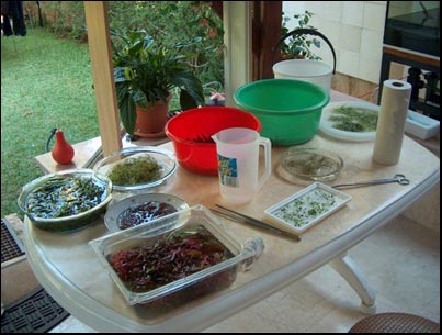 www.israquarium.co.il