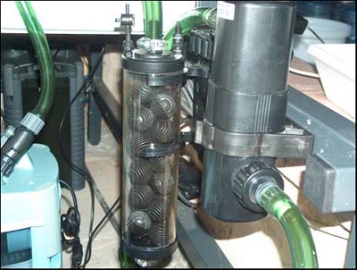 www.israquarium.co.il