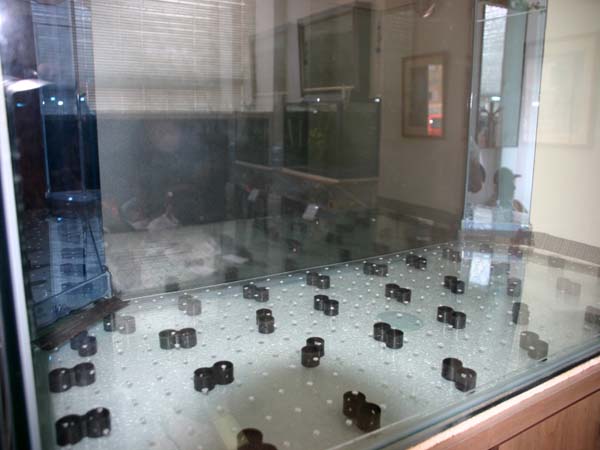 www.israquarium.co.il