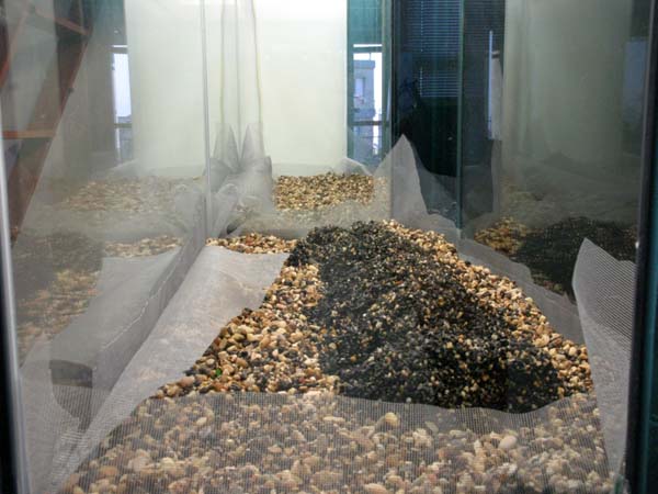 www.israquarium.co.il