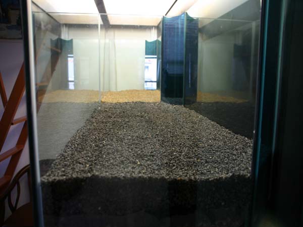 www.israquarium.co.il