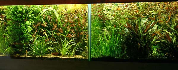 www.israquarium.co.il