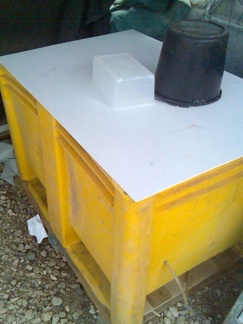 www.israquarium.co.il