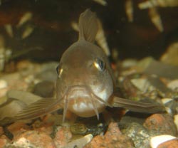 www.israquarium.co.il