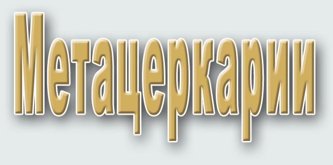 www.israquarium.co.il