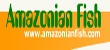 Amazonian Fish