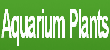 Aquarium Plants
