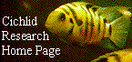 Cichlid Research