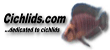 Cichlids.com