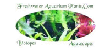 Freshwater Aquarium Plants