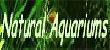 Natural Aquarium