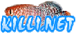 KILLI.NET