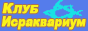 Клуб Клуб